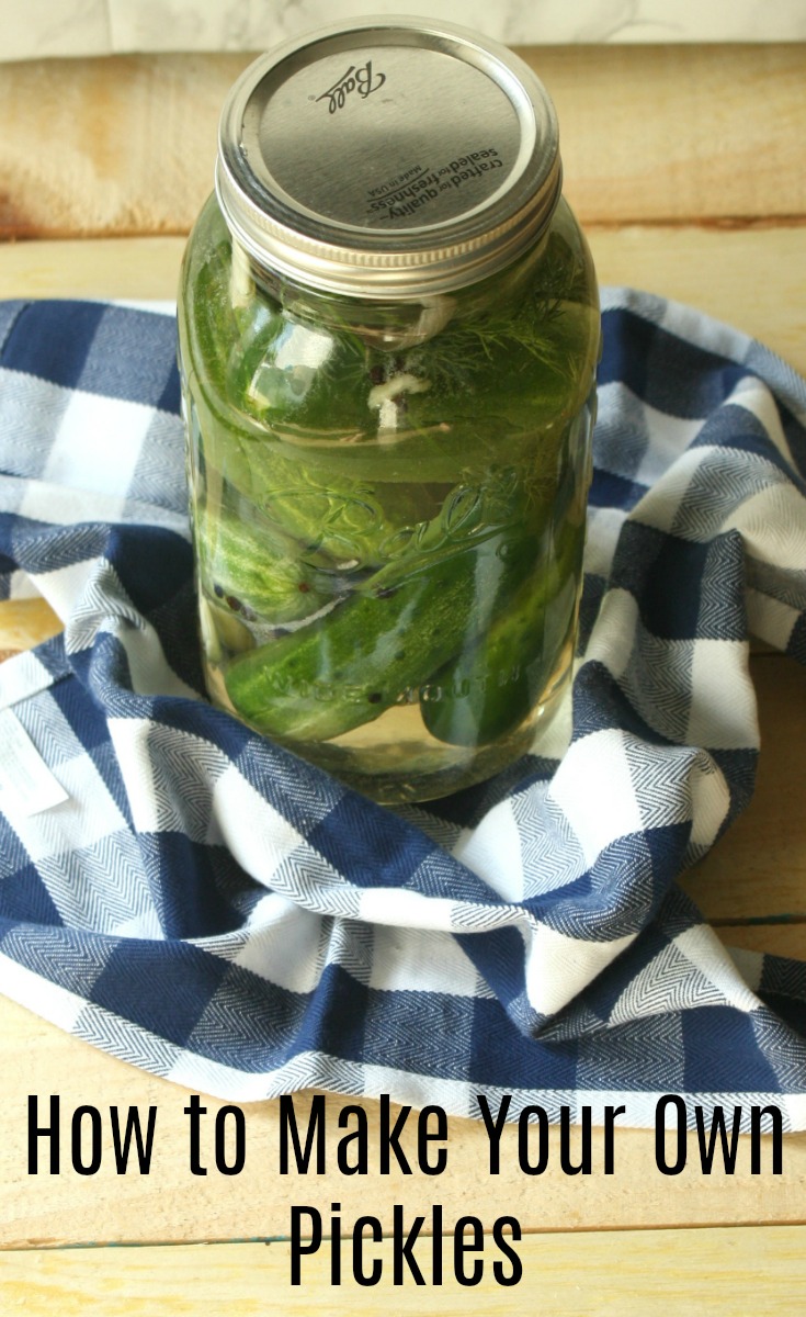 Quick and Easy Refrigerator Dill Pickles Recipe
