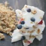 A stack of Yogurt Bark topped with blueberries and granola sits on a dark wooden surface, with a pile of loose granola scattered nearby.