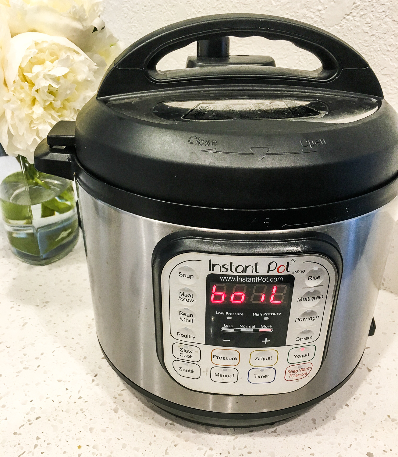 How to Make Thick and Creamy Yogurt in an Instant Pot - The From