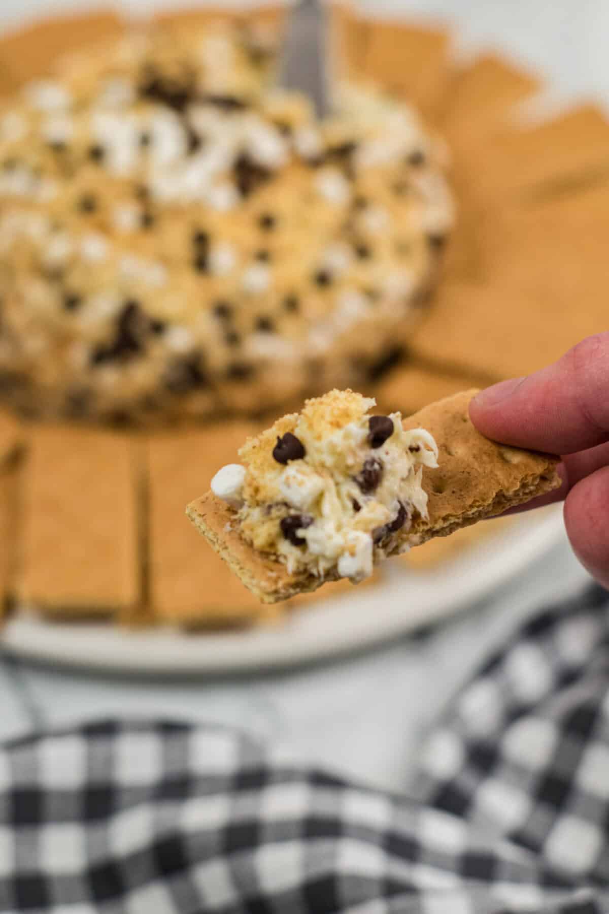 Elevate Your Favorite Campfire S'Mores With These S'Mores Recipe Ideas!