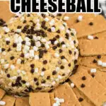 s'mores cheeseball