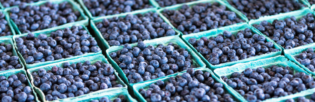 blueberries at farmer's market