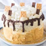 Full view of a decorated s’mores cake with chocolate drip and toppings, placed on a plate with a cake server beside it.