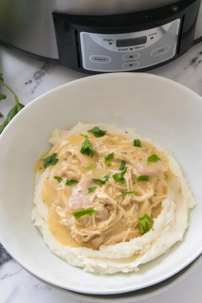 easy slow cooker chicken and gravy recipe