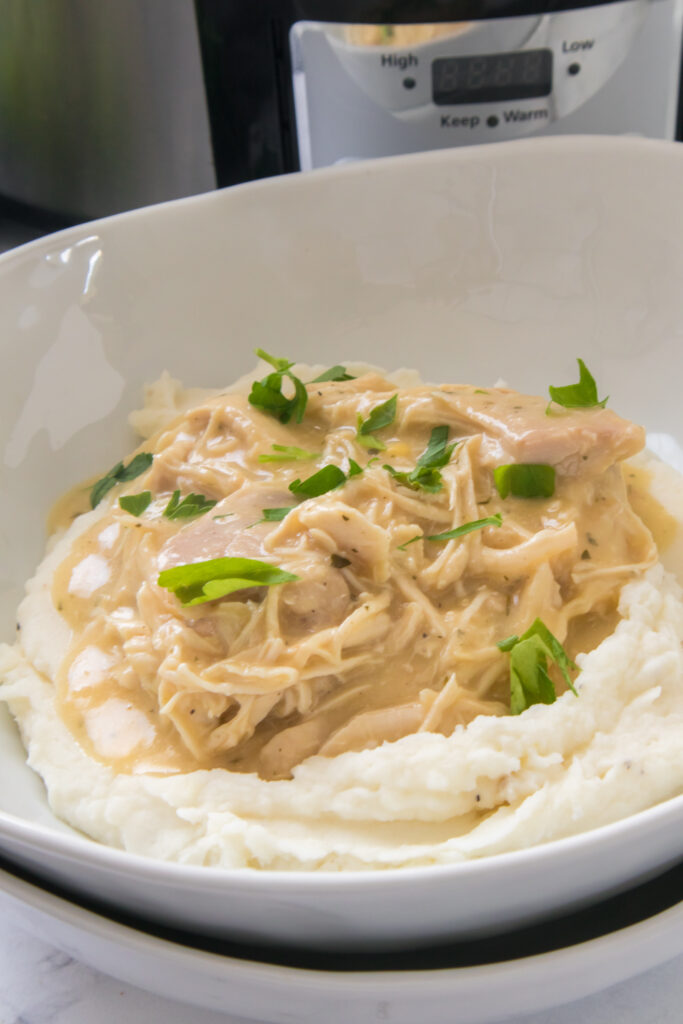 easy slow cooker chicken and gravy recipe