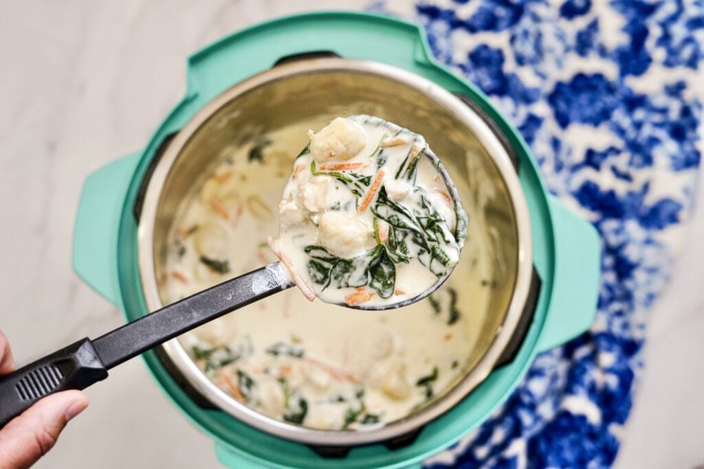 spoonful of chicken gnocchi soup