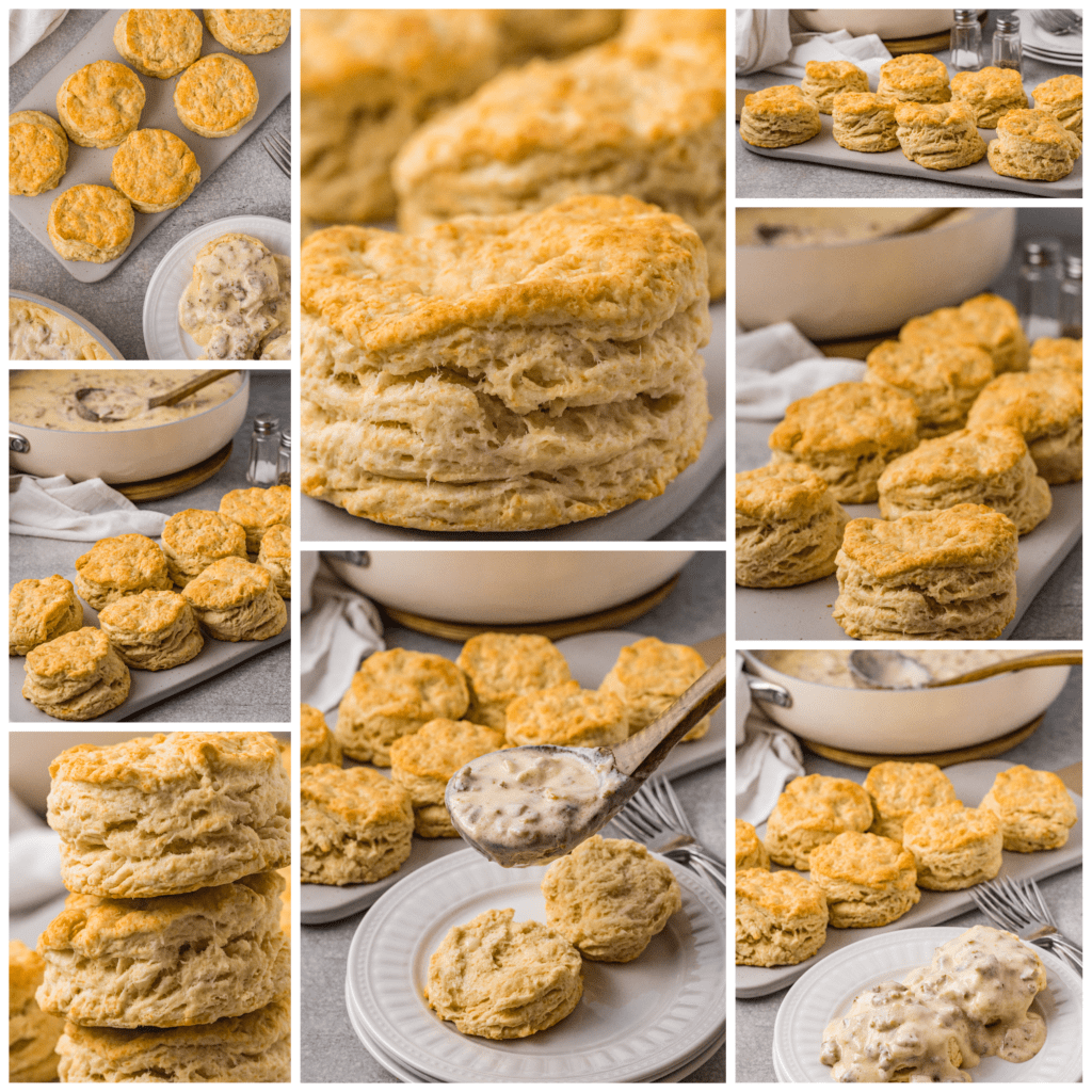 biscuit collage