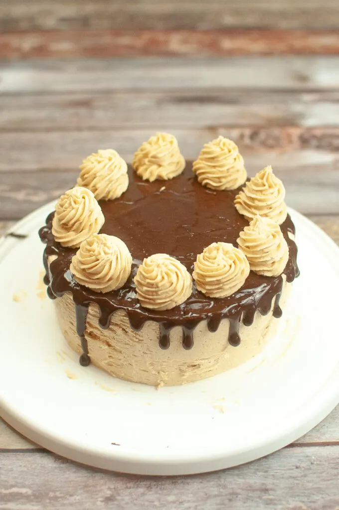 reeses peanut butter chocolate cake