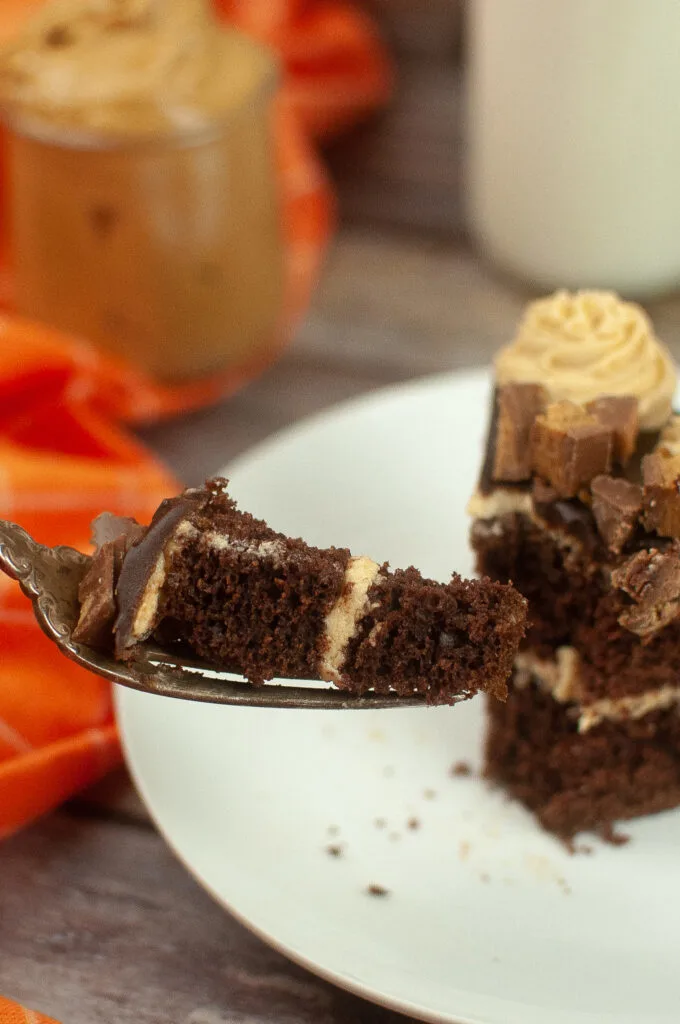 reeses peanut butter chocolate cake