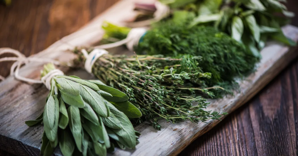 herbs for cooking