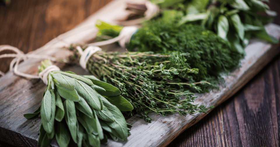 Best Herbs to Grow for Cooking (Easy, Everyday Use)
