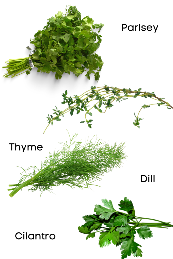 herbs for fish