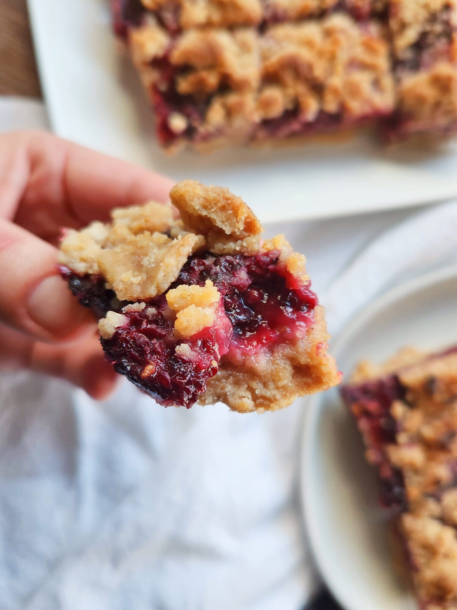 indulge-in-a-sweet-and-tangy-treat-with-these-lemon-blackberry-crumb-bars