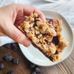 blackberry crumb bars