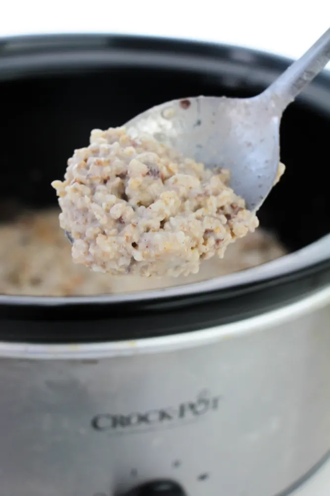 slow cooker oatmeal