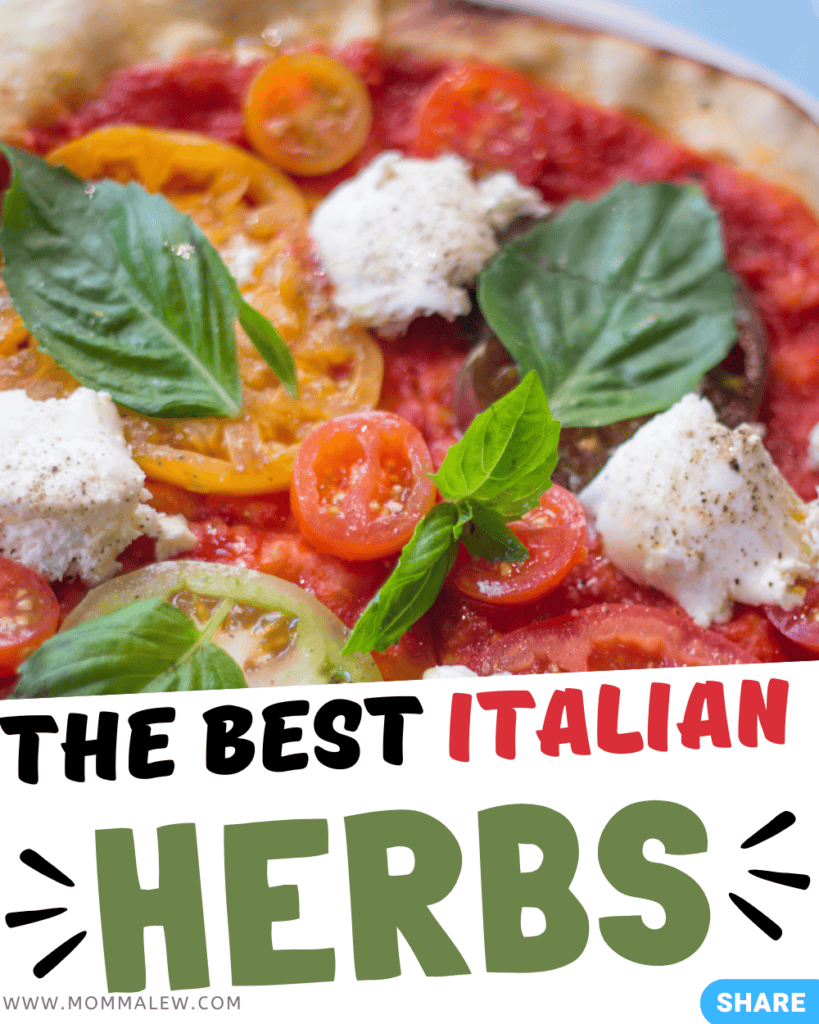 A pizza with tomatoes, basil, and other herbs used in Italian cooking.