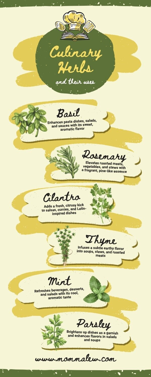 Best Herbs to Grow for Cooking (Easy, Everyday Use)