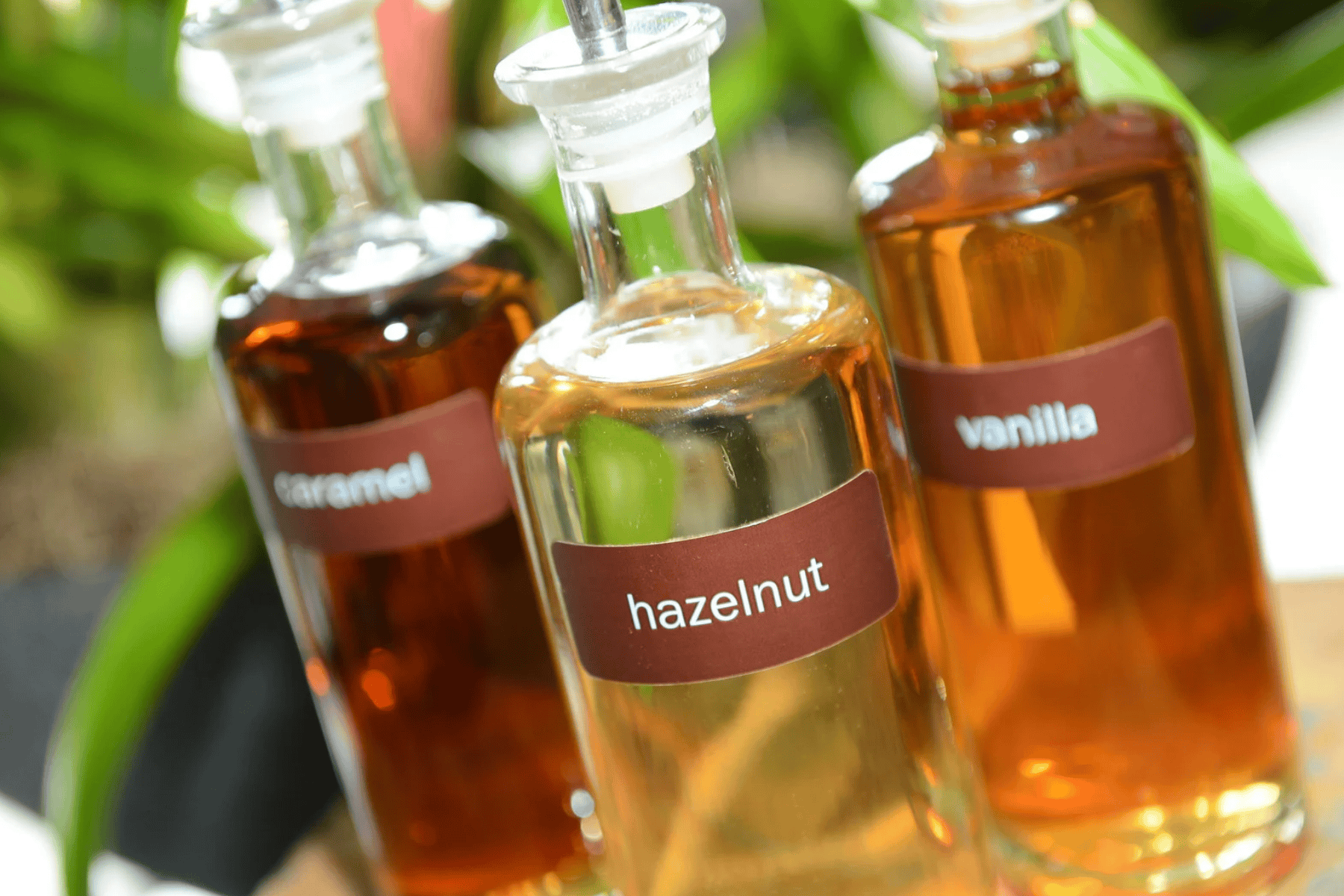 Three glass bottles labeled caramel, hazelnut, and vanilla filled with iced coffee syrups are displayed close together, with green plants blurred in the background.