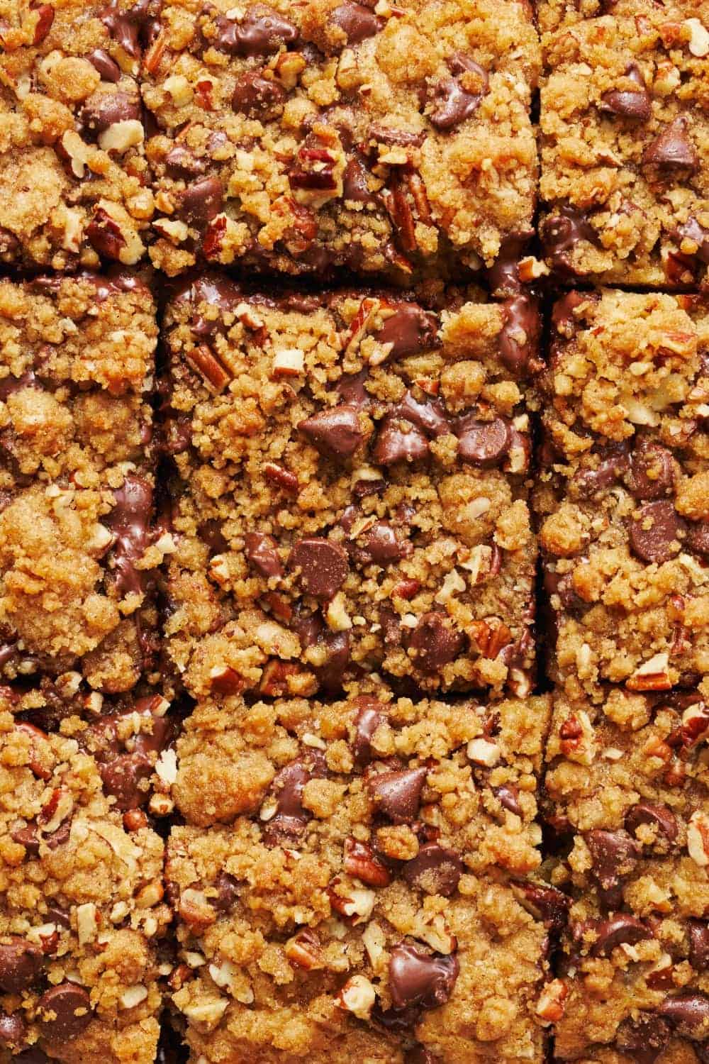 Close-up of several squares of chocolate chip crumb bars topped with chopped nuts and crumbly streusel, arranged in a grid pattern—an irresistible idea for what to make with chocolate chips besides cookies.