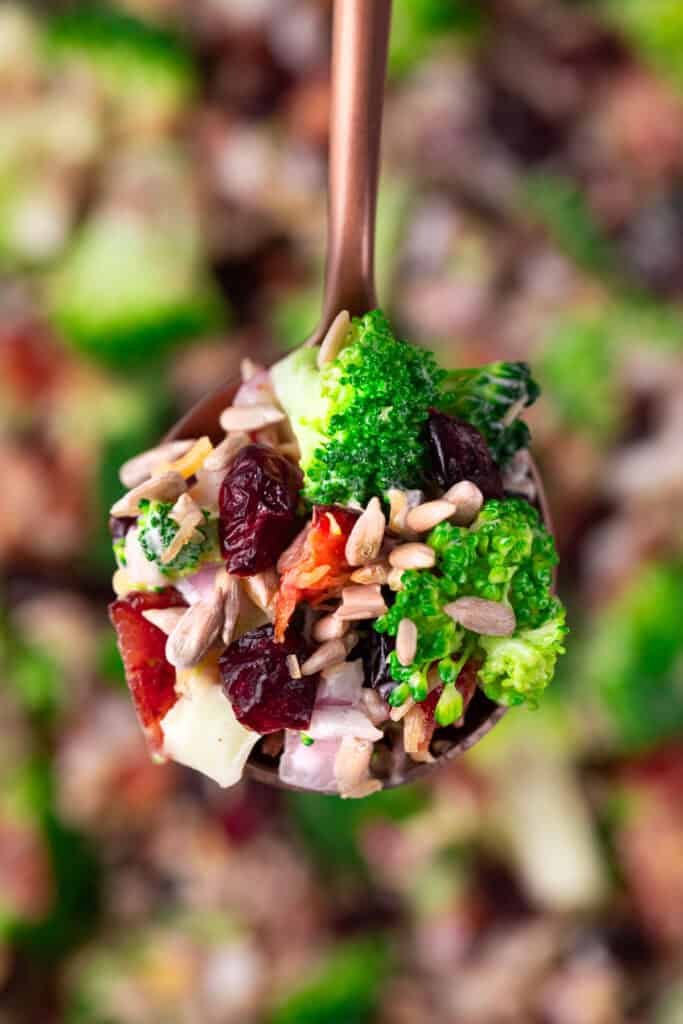A spoon holds a colorful Costco broccoli salad with sunflower seeds, dried cranberries, bacon bits, and creamy dressing, set against a blurred background of more salad.