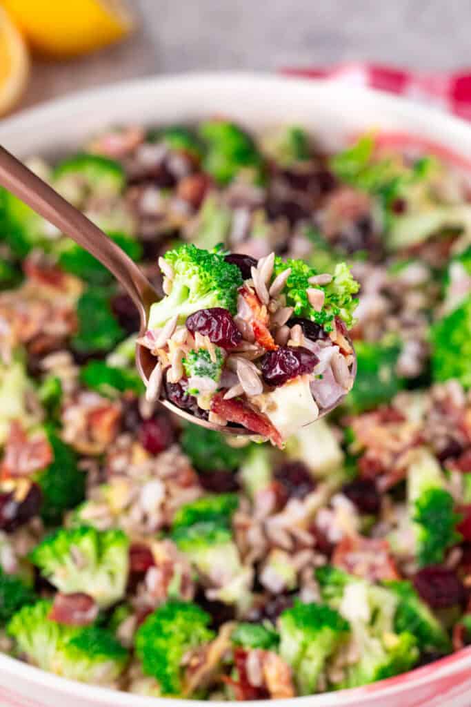 A close-up of a spoonful of Costco broccoli salad with dried cranberries, bacon, seeds, and grains, held above a bowl filled with the same colorful mixture.