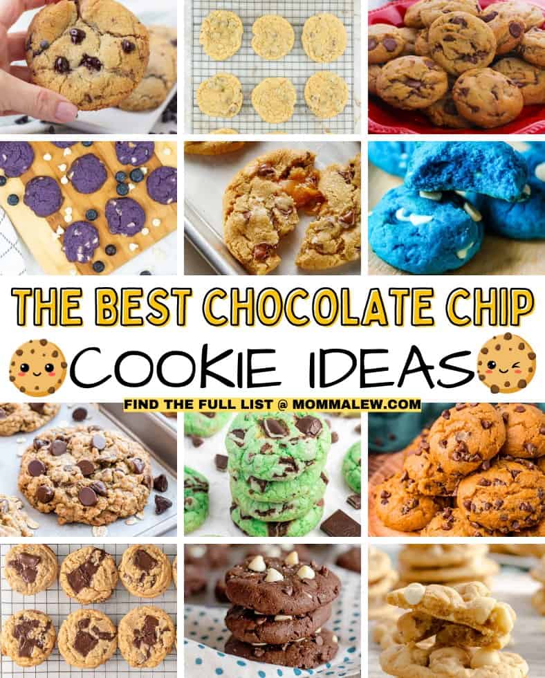 A collage of twelve different Chocolate Chip Cookie Variations, including classic, colorful, and unique styles, surrounds bold text that reads, “The Best Chocolate Chip Cookie Ideas.”.