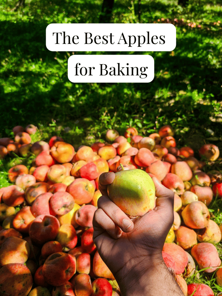 A hand holds a yellow apple above a grassy ground covered with a pile of red apples. The text reads, Best Apples for Baking. Sunlight casts dappled shadows on the scene, highlighting the fresh selection of apples perfect for your next baking adventure.