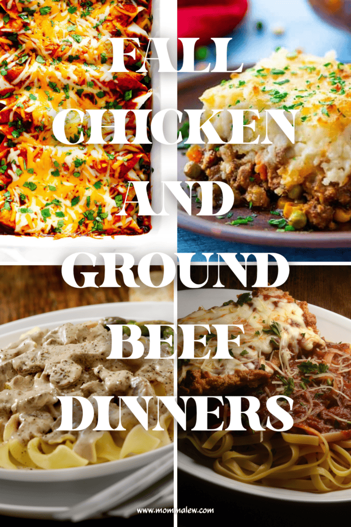 Collage of four hearty dinners: cheesy chicken casserole, baked beef dish, creamy beef stroganoff on noodles, and beef pasta with red sauce and melted cheese. Text reads FALL CHICKEN AND GROUND BEEF DINNERS—perfect for anyone looking for easy fall dinner ideas.