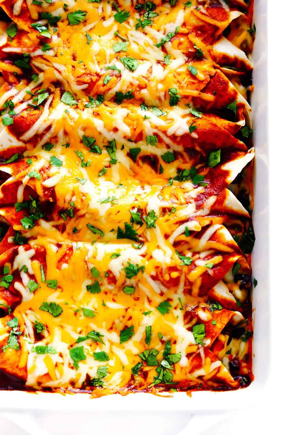 A close-up of cheesy enchiladas topped with melted cheese and chopped cilantro in a white baking dish—perfect for anyone looking for easy fall dinner ideas.